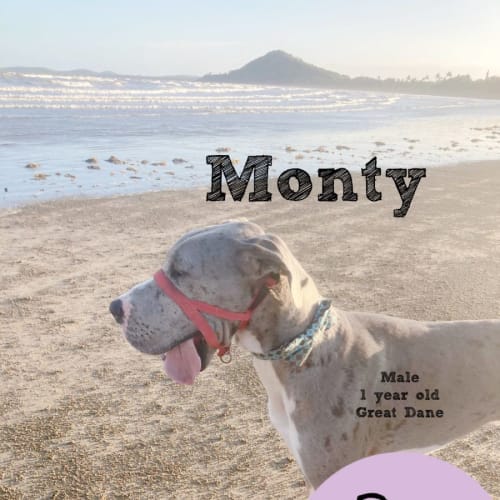 Monty