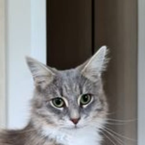 Skye