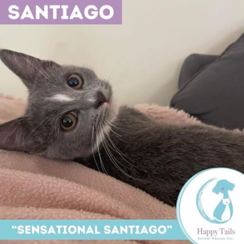 Santiago 