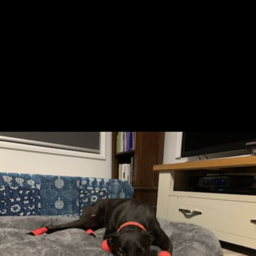 Axel 🤩