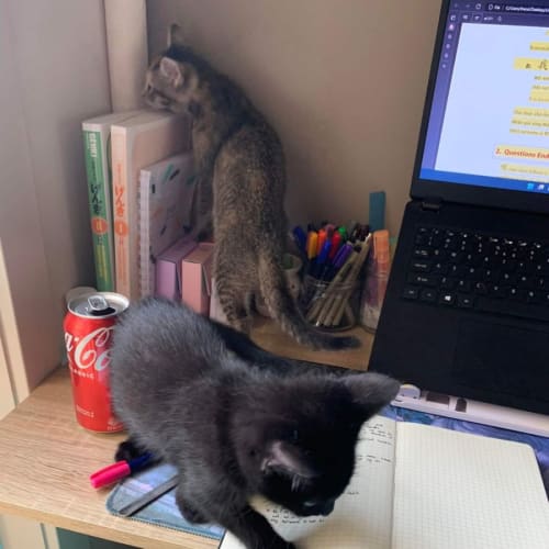 Murphy and Maisie ❣❣
