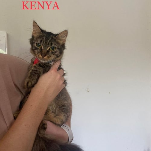 Kenya