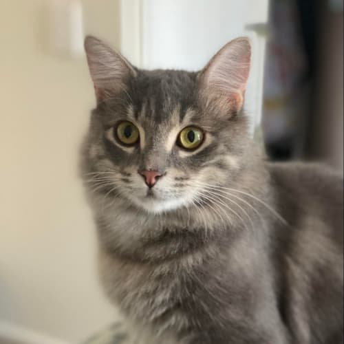 Jeffrey 