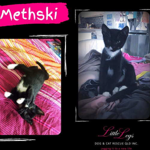 Methski