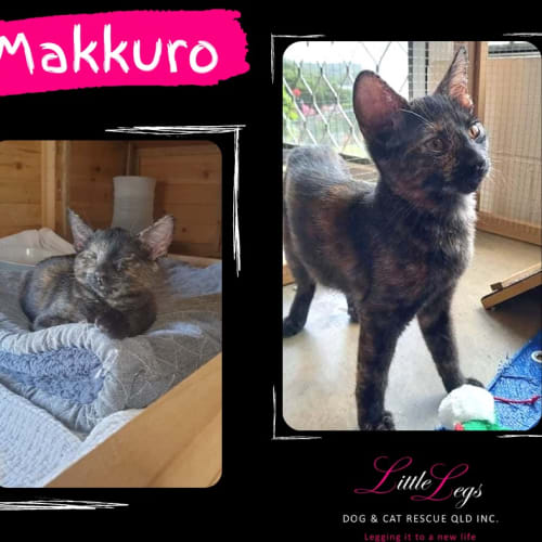Makkuro
