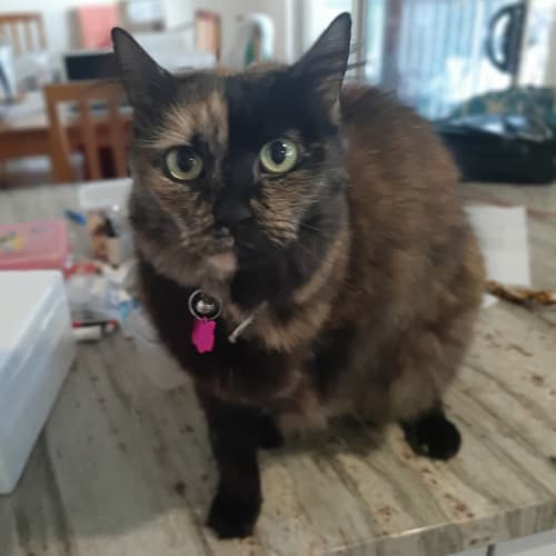 Peggy