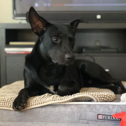Benny