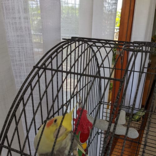 Pablo