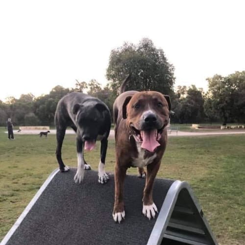 DB and Daisy 