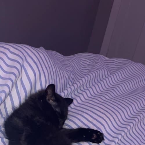 Fergus 
