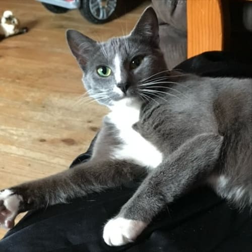 Luna Minky