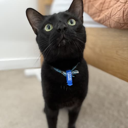 Marty