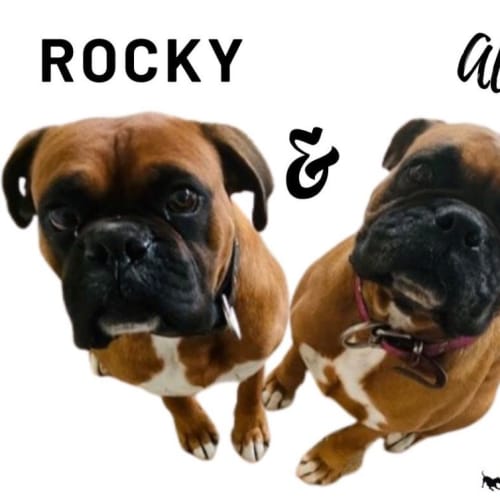 Ali and Rocky