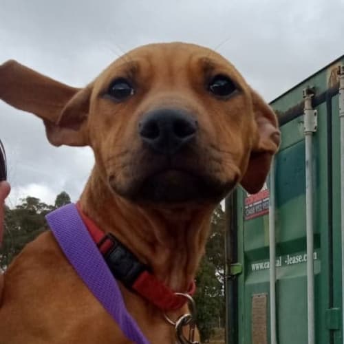 Winnie