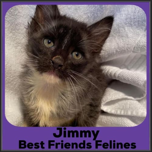 Jimmy 