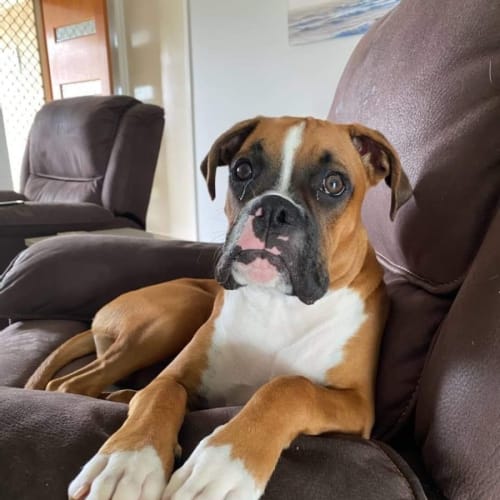 Murphy