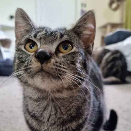 Bernadette (Bernie)