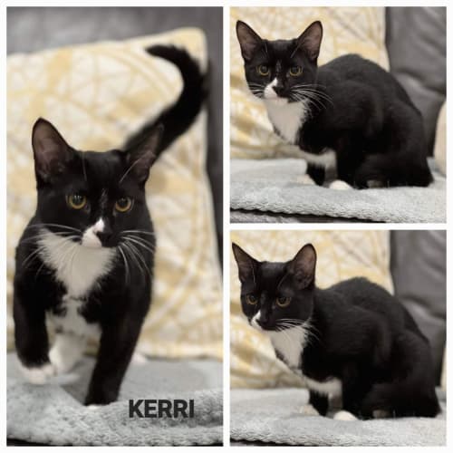 Kerri