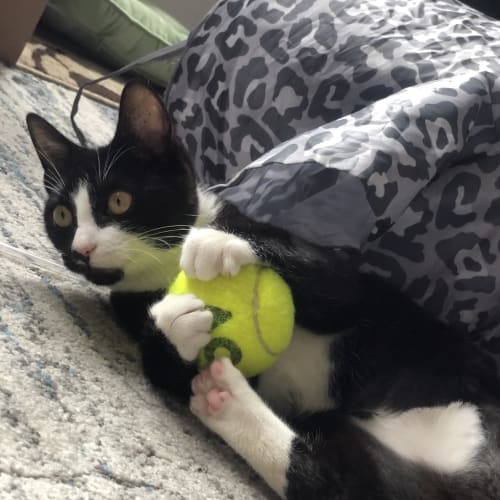 Tuna