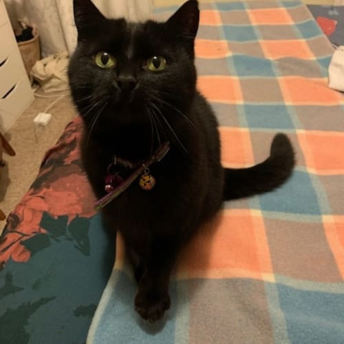 Luna