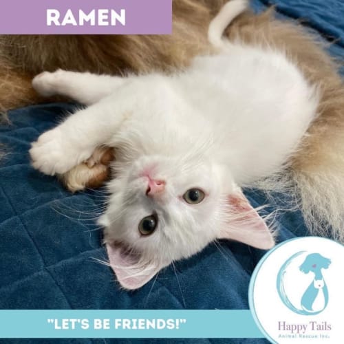 Ramen 