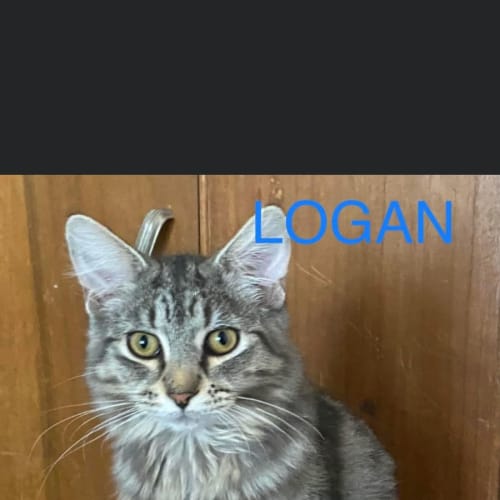 Logan