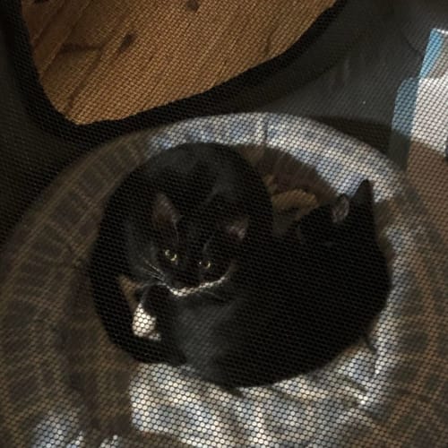 Jake and Maggie