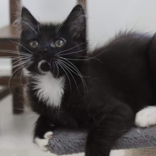 Colby❤️💙❤️