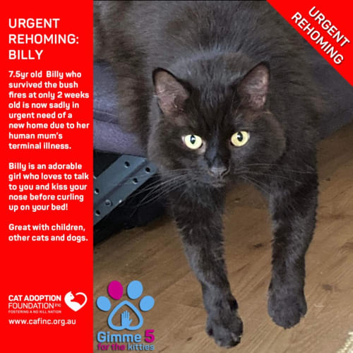 Billy