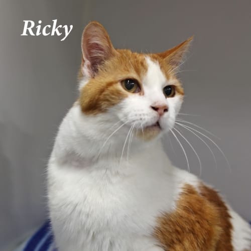 Ricky