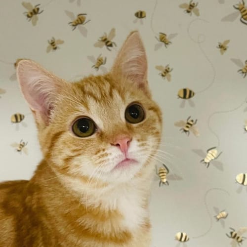 Carly - Located in Preston