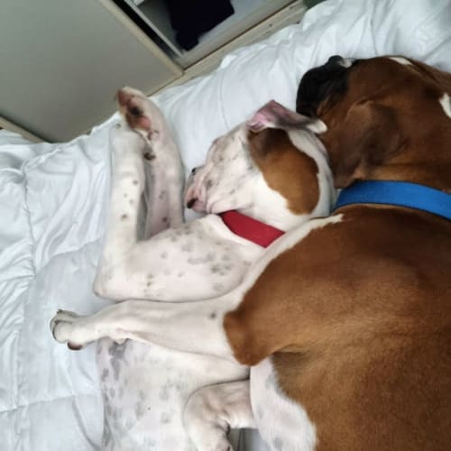 Rory and Dakota