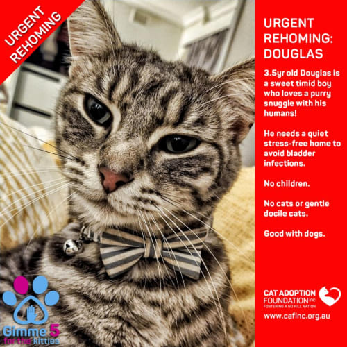 Douglas