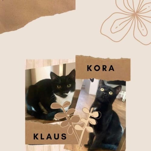 Klaus & Kora 