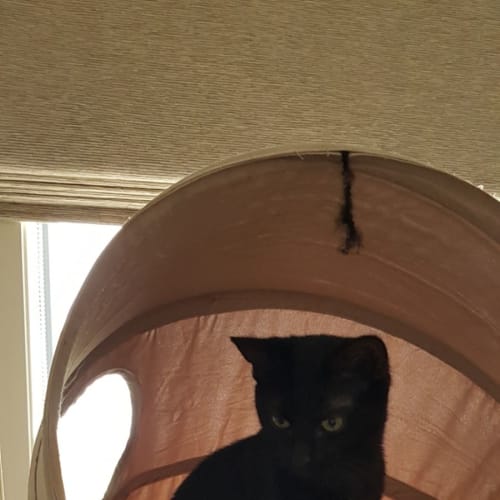 Eleanor