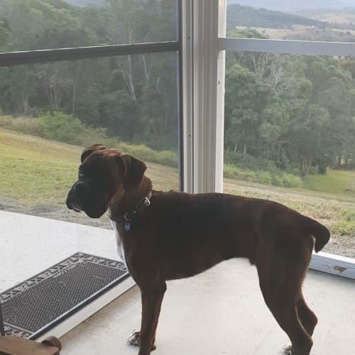 Oscar