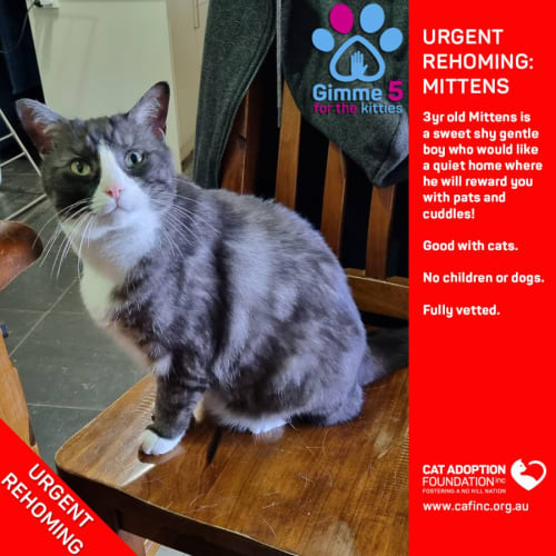 Mittens