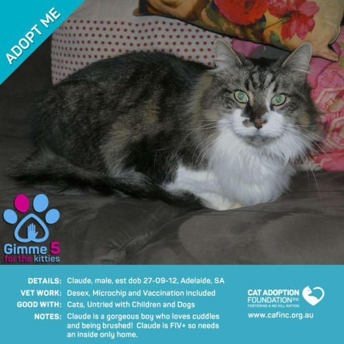 Claude $0 Adoption Fee!