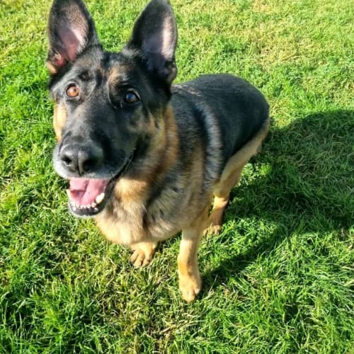 Zeus