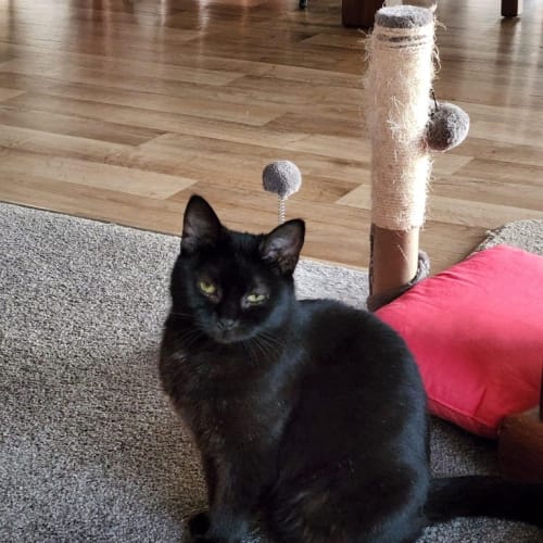 Tina