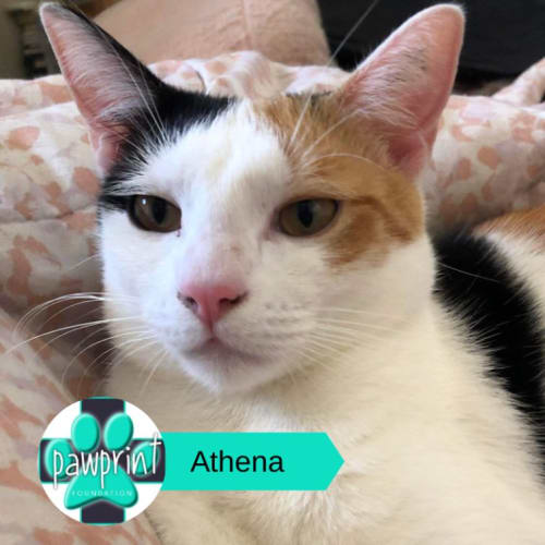 Athena