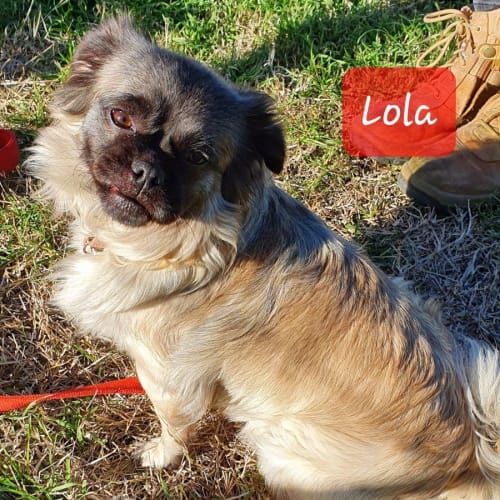 Lola