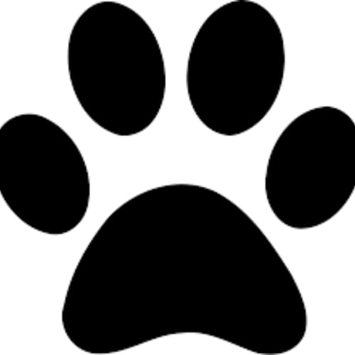 Patch
