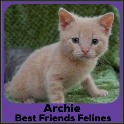 Archie