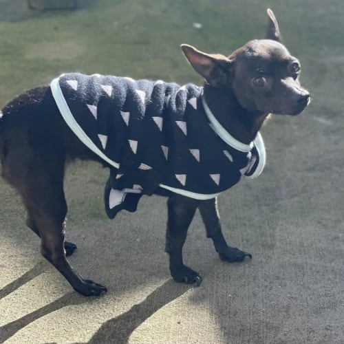 Pixie