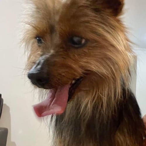 Sam