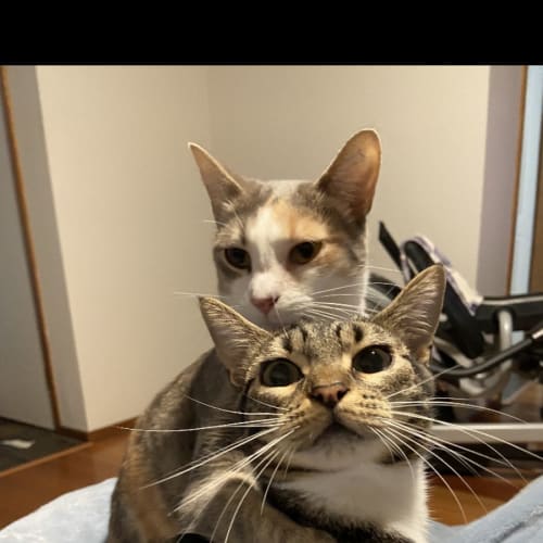Sweetpea and Princess  🌸