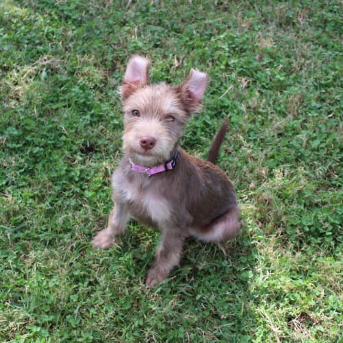 Matilda
