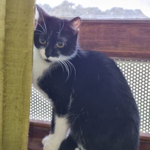 Lena (Tiny girl)