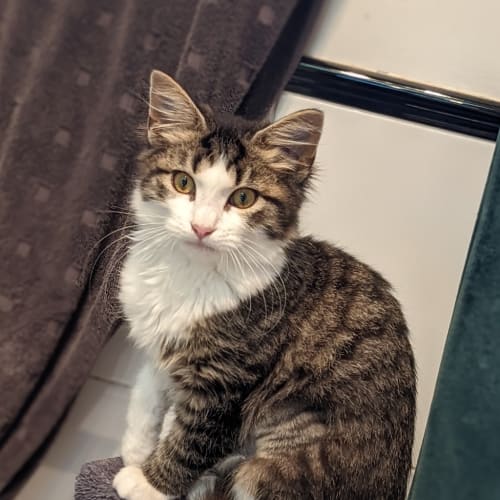 Keanu